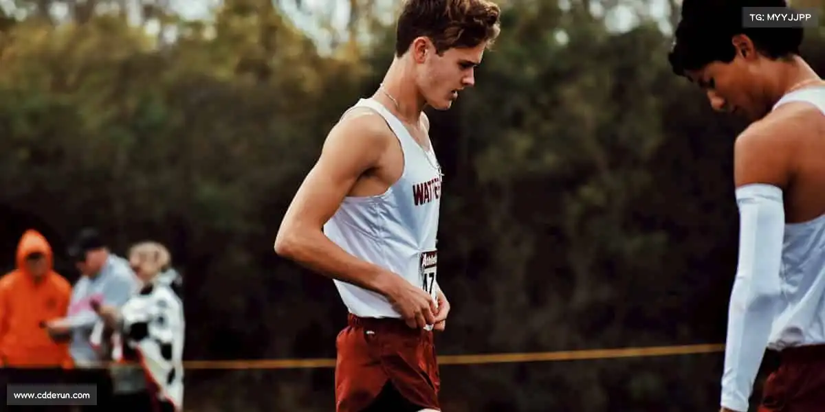 为什么选择我们